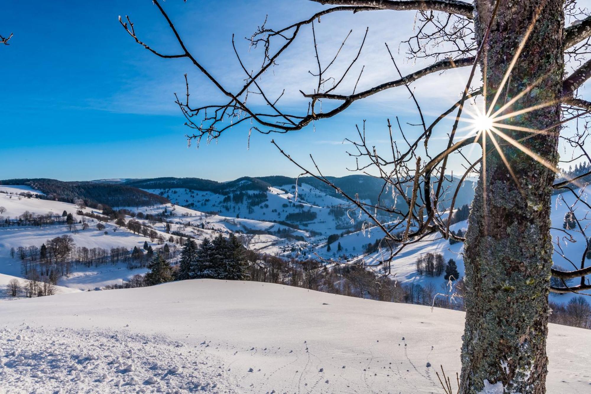 Schwarzwaldliebe Daire Frohnd Dış mekan fotoğraf