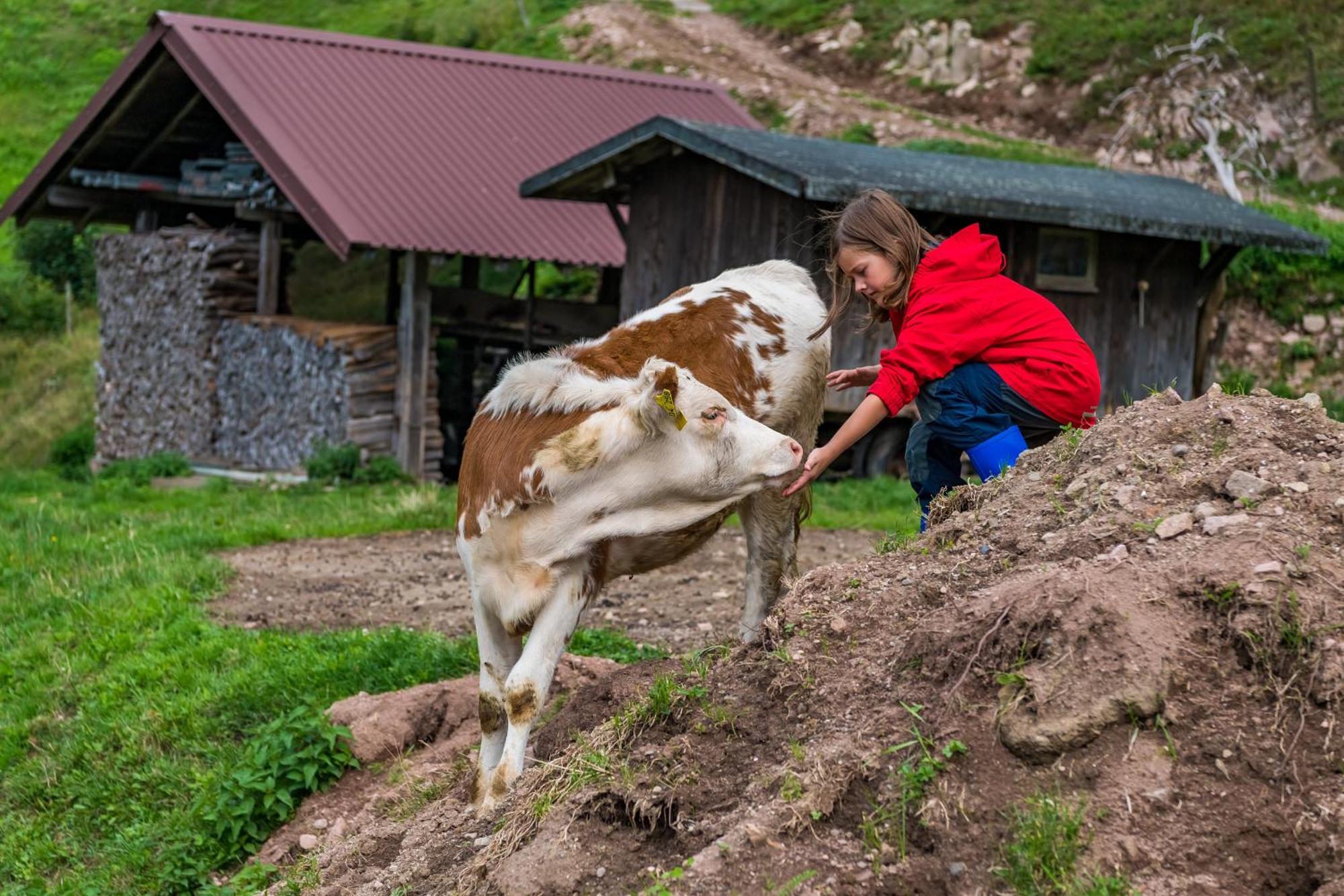 Schwarzwaldliebe Daire Frohnd Dış mekan fotoğraf