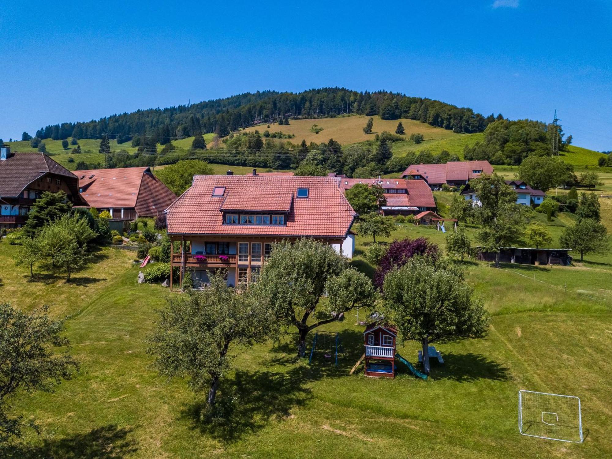 Schwarzwaldliebe Daire Frohnd Dış mekan fotoğraf